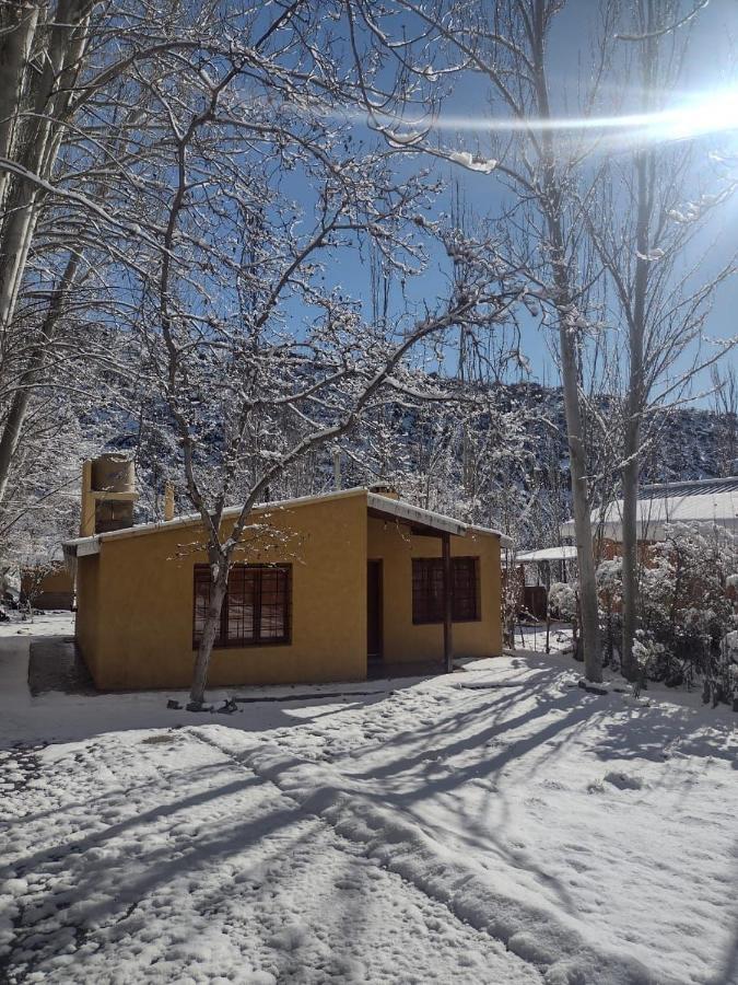Cabana Pura Vida Potrerillos Luaran gambar